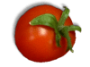 Captcha image 8020