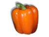 Captcha image 3128